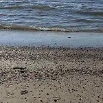 Aan Zee Met Dakterras Rust En 250 M *