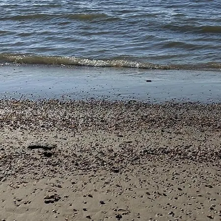 Aan Zee Met Dakterras Rust En 250 M *
