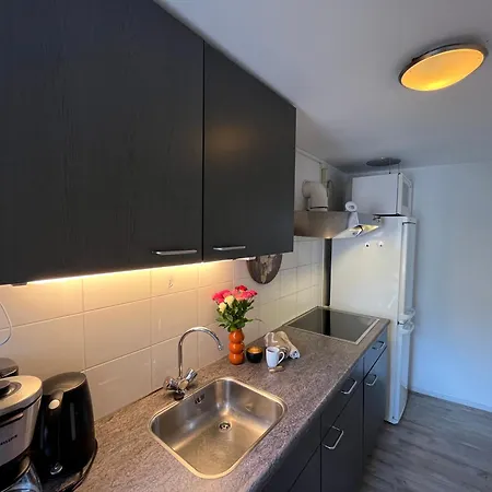 Aan Zee Met Dakterras Rust En 250 M