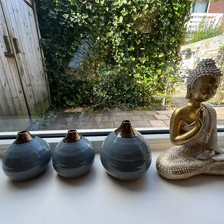 Apartment Aan Zee Met Dakterras Rust En 250 M *