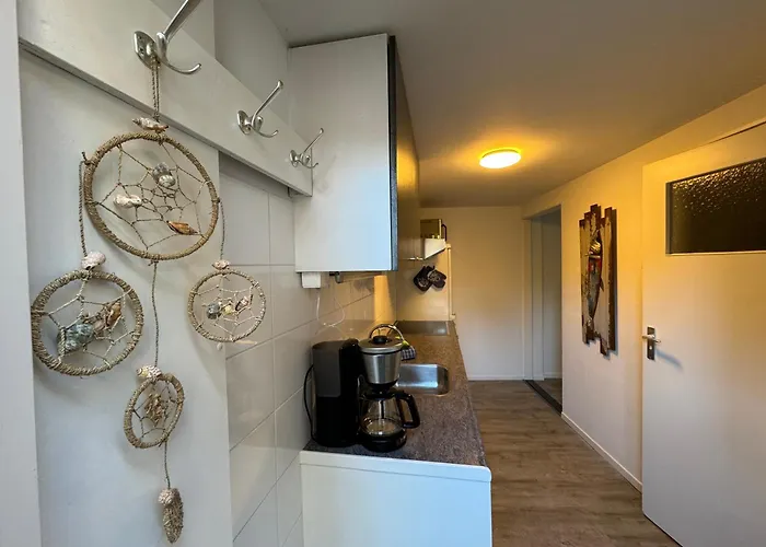 Aan Zee Met Dakterras Rust En 250 M *