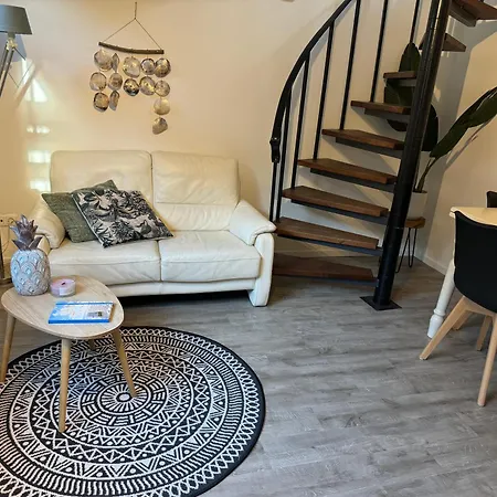 Aan Zee Met Dakterras Rust En 250 M *