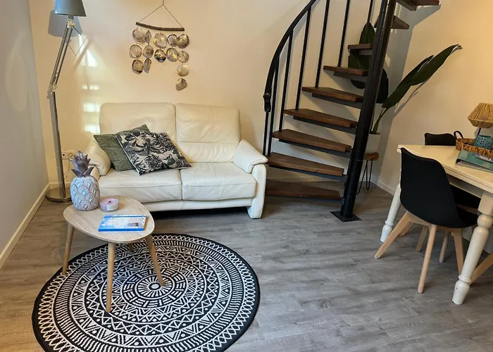 Aan Zee Met Dakterras Rust En 250 M *