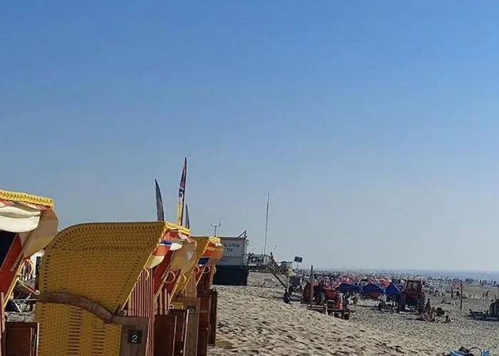 Aan Zee Met Dakterras Rust En 250 M * Egmond aan Zee
