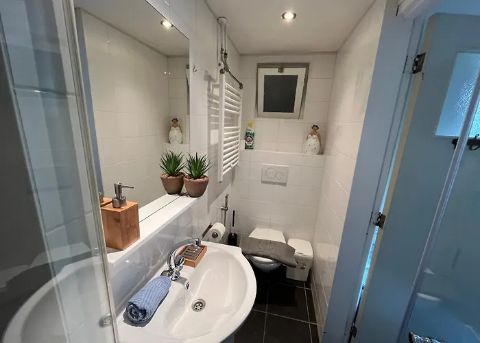 Aan Zee Met Dakterras Rust En 250 M * Egmond aan Zee