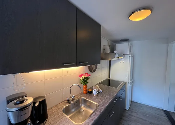 Aan Zee Met Dakterras Rust En 250 M