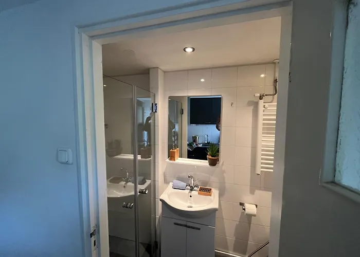 Aan Zee Met Dakterras Rust En 250 M *